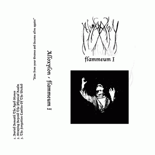 Alloxylon : Flammeum I